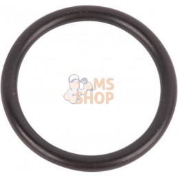 O-Ring | CNH O-Ring | CNHPR#1077806