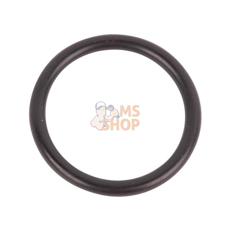 O-Ring | CNH O-Ring | CNHPR#1077806