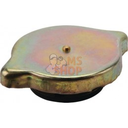 Bouchon de radiateur | CNH Bouchon de radiateur | CNHPR#894134