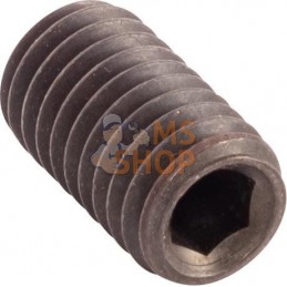 Bolt | CNH Bolt | CNHPR#1077824