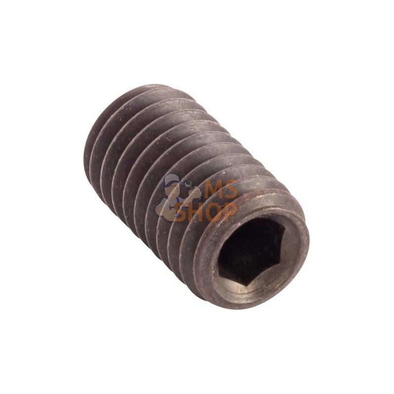 Bolt | CNH Bolt | CNHPR#1077824
