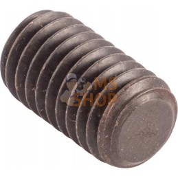 Bolt | CNH Bolt | CNHPR#1077824
