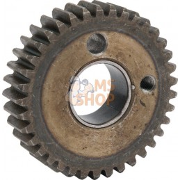 Pignon | TANCO Pignon | TANCOPR#857740