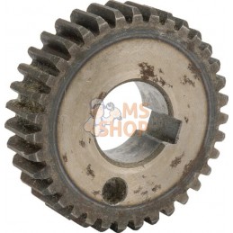 Pignon | TANCO Pignon | TANCOPR#857754