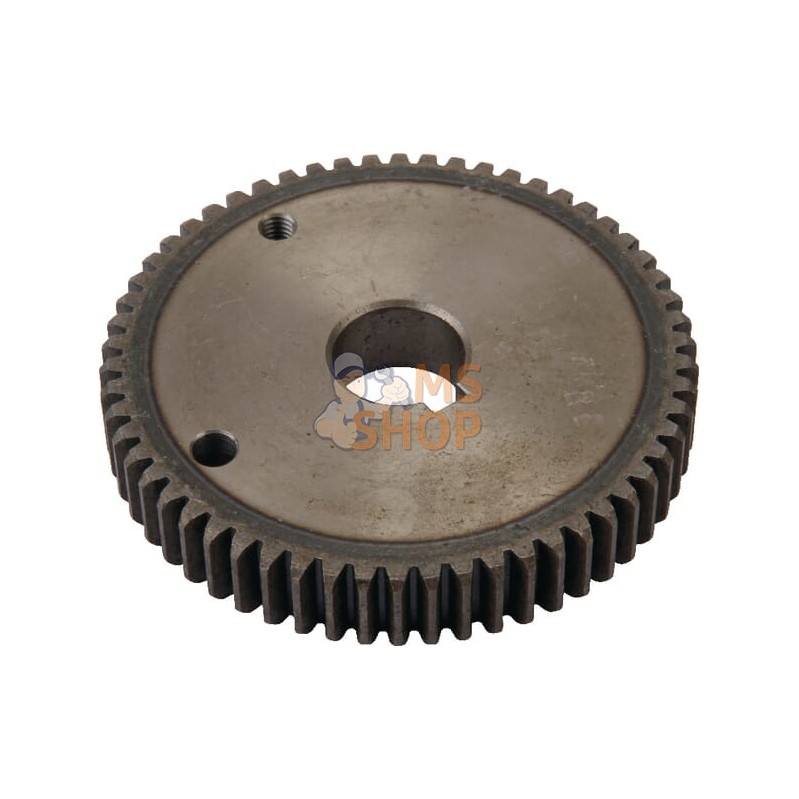 Pignon | TANCO Pignon | TANCOPR#857753 Pignon | TANCO Pignon | TANCOPR#857753