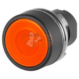 Bouton-poussoir lumineux | NEW-ELFIN Bouton-poussoir lumineux | NEW-ELFINPR#855563