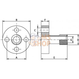 Bride de pompe male 1/2 BSP | OLEO TECNICA Bride de pompe male 1/2 BSP | OLEO TECNICAPR#916421