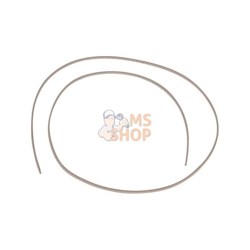 Bague | ZF Bague | ZFPR#1123349