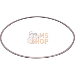 Bague de support | ZF Bague de support | ZFPR#662065