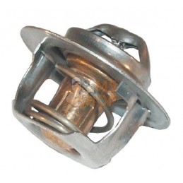 Thermostat | ZETOR Thermostat | ZETORPR#878372