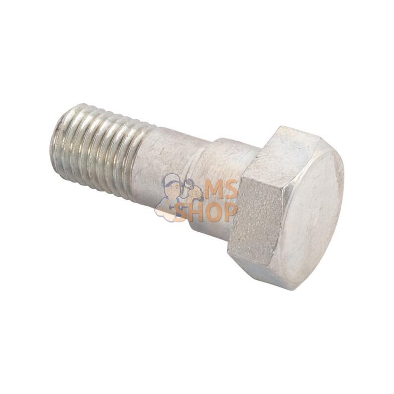 Bolt | LANDINI Bolt | LANDINIPR#1075068