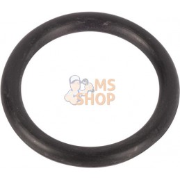 O-ring | LANDINI O-ring | LANDINIPR#1075100