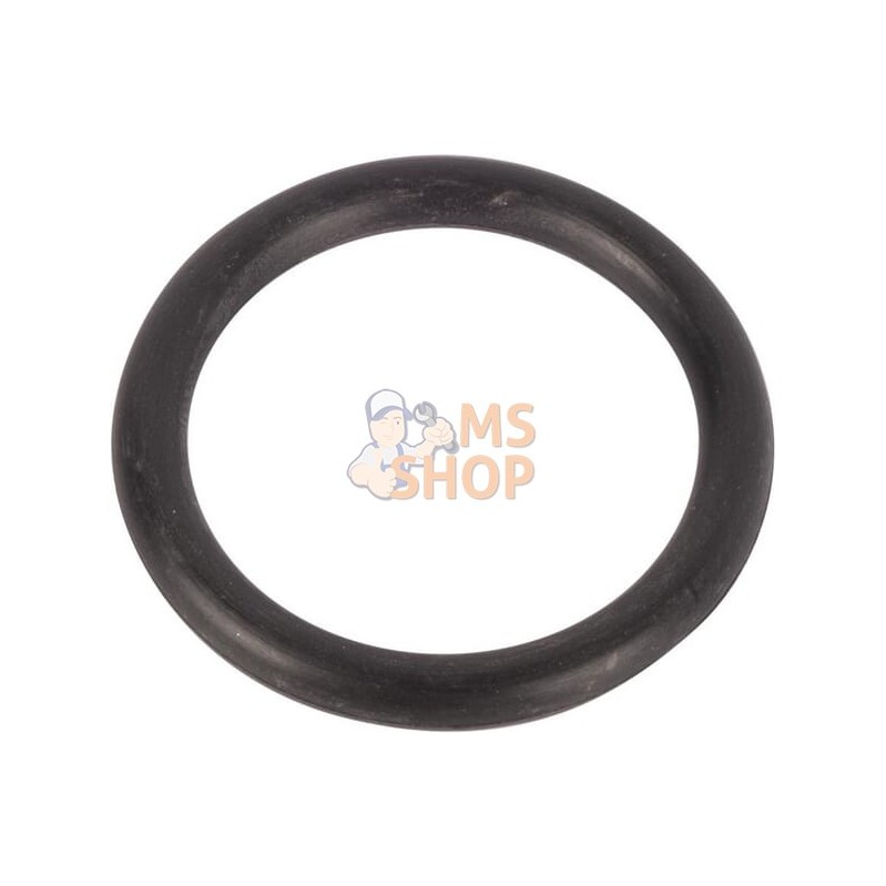 O-ring | LANDINI O-ring | LANDINIPR#1075100