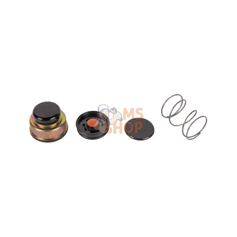 Priming pump | SDF Priming pump | SDFPR#1038284 Priming pump | SDF Priming pump | SDFPR#1038284