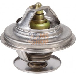 Thermostat | SDF Thermostat | SDFPR#691610