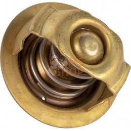 Thermostat | SDF Thermostat | SDFPR#1074716