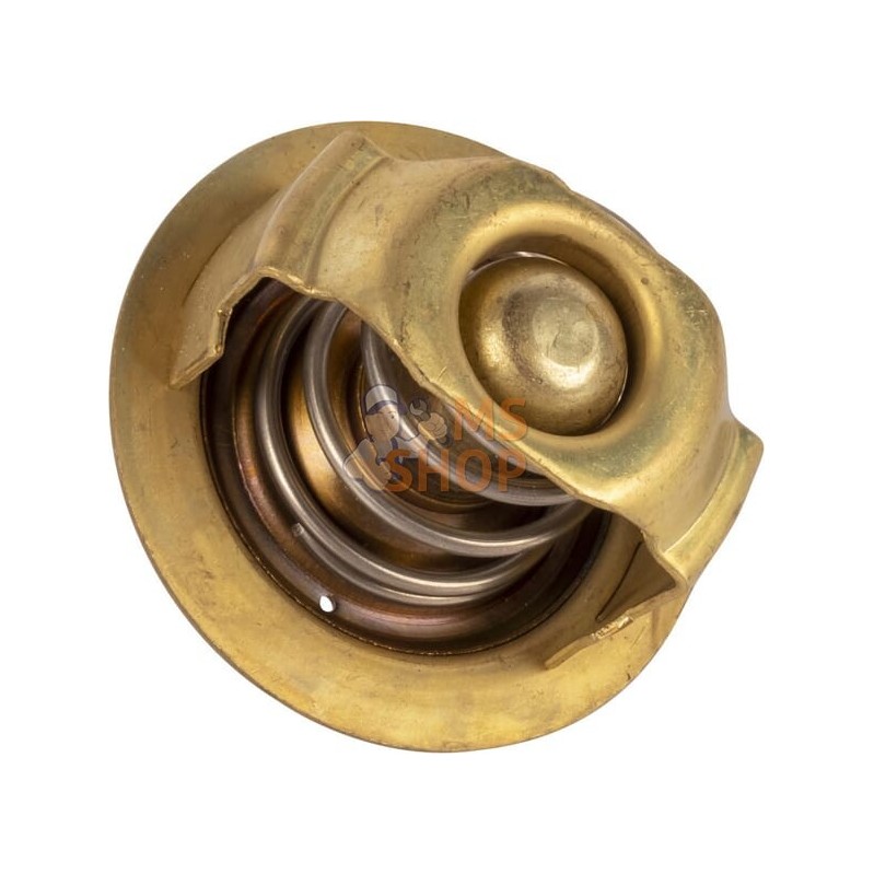 Thermostat | SDF Thermostat | SDFPR#1074716