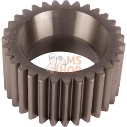 Gear | SDF Gear | SDFPR#1074865