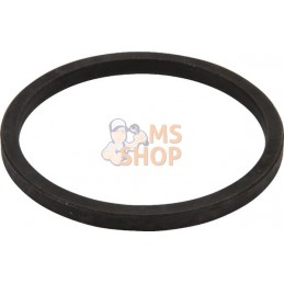 Coque | SDF Coque | SDFPR#691478