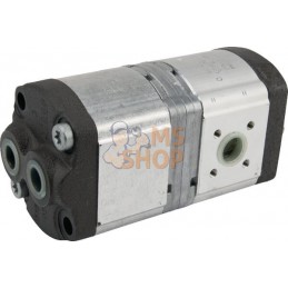 Pompe hydraulique AZPFF-11-011/008LCN20XXPX-S0173 Bosch Rexroth | BOSCH REXROTH Pompe hydraulique AZPFF-11-011/008LCN20XXPX-S017