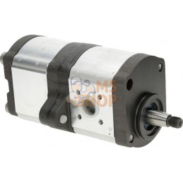 Pompe hydraulique AZPFF-11-011/008LCP2020MB-S0190 Bosch Rexroth | BOSCH REXROTH Pompe hydraulique AZPFF-11-011/008LCP2020MB-S019