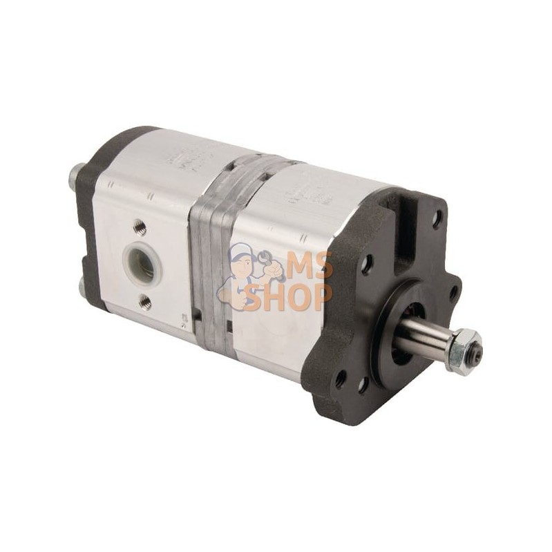 Pompe hydraulique AZPFF-11-008/014LHXXXXXKB-S0250 Bosch Rexroth | BOSCH REXROTH Pompe hydraulique AZPFF-11-008/014LHXXXXXKB-S025 Pompe hydraulique AZPFF-11-008/014LHXXXXXKB-S0250 Bosch Rexroth | BOSCH REXROTH Pompe hydraulique AZPFF-11-008/014LHXXXXXKB-S025