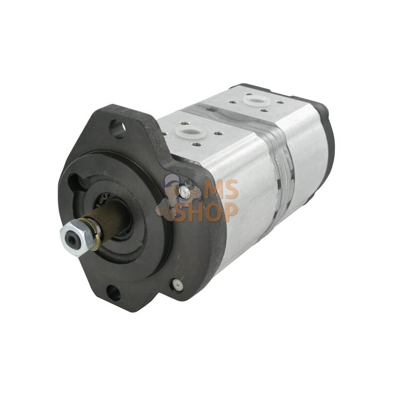 Pompe hydraulique AZPFF-11-016/011RCX2020KB-S0212 Bosch Rexroth | BOSCH REXROTH Pompe hydraulique AZPFF-11-016/011RCX2020KB-S021 Pompe hydraulique AZPFF-11-016/011RCX2020KB-S0212 Bosch Rexroth | BOSCH REXROTH Pompe hydraulique AZPFF-11-016/011RCX2020KB-S021