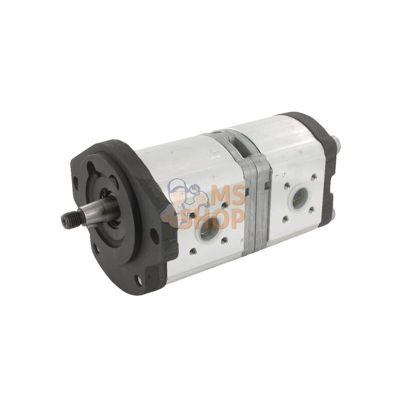 Pompe hydraulique AZPFF-11-019/011LCX2020KB-S0212 Bosch Rexroth | BOSCH REXROTH Pompe hydraulique AZPFF-11-019/011LCX2020KB-S021 Pompe hydraulique AZPFF-11-019/011LCX2020KB-S0212 Bosch Rexroth | BOSCH REXROTH Pompe hydraulique AZPFF-11-019/011LCX2020KB-S021