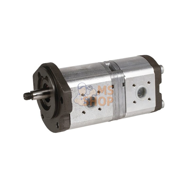 Pompe hydraulique AZPFF-11-022/011LHR2020KB-S0214 Bosch Rexroth | BOSCH REXROTH Pompe hydraulique AZPFF-11-022/011LHR2020KB-S021
