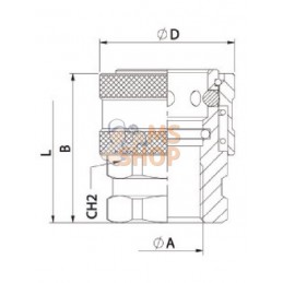 Raccord rapide F 1/4" acier | UNBRANDED Raccord rapide F 1/4" acier | UNBRANDEDPR#779062