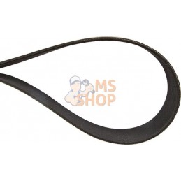 Courroie nervurée 16PJ914 Optibelt | OPTIBELT Courroie nervurée 16PJ914 Optibelt | OPTIBELTPR#47659