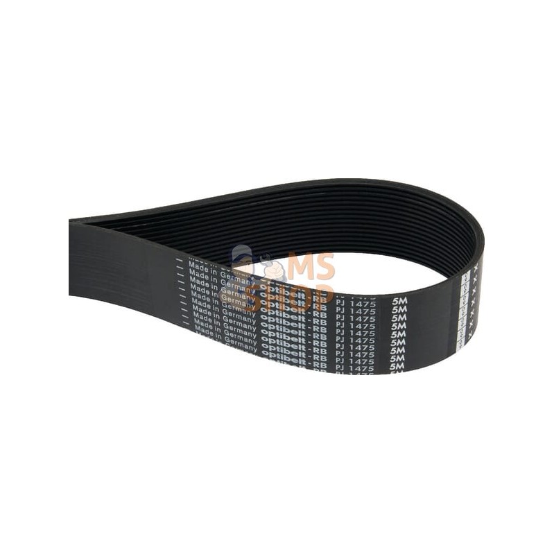 Courroie nervurée 16PJ1475 Optibelt | OPTIBELT Courroie nervurée 16PJ1475 Optibelt | OPTIBELTPR#47657 Courroie nervurée 16PJ1475 Optibelt | OPTIBELT Courroie nervurée 16PJ1475 Optibelt | OPTIBELTPR#47657