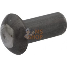 Rivet à tête demi-ronde | AGRIA Rivet à tête demi-ronde | AGRIAPR#450810