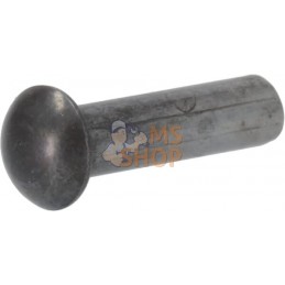 Rivet à tête demi-ronde | AGRIA Rivet à tête demi-ronde | AGRIAPR#450809