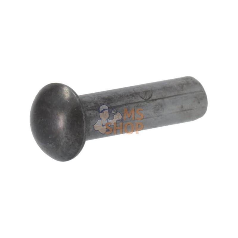 Rivet à tête demi-ronde | AGRIA Rivet à tête demi-ronde | AGRIAPR#450809