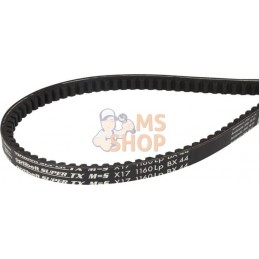 Courroie trapézoïdale | AGRIA Courroie trapézoïdale | AGRIAPR#642502