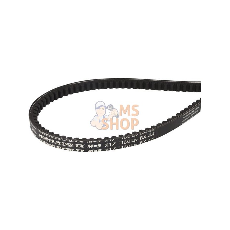 Courroie trapézoïdale | AGRIA Courroie trapézoïdale | AGRIAPR#642502