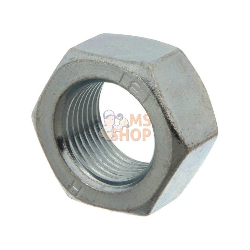 Écrou hexagonal | AGRIA Écrou hexagonal | AGRIAPR#640056