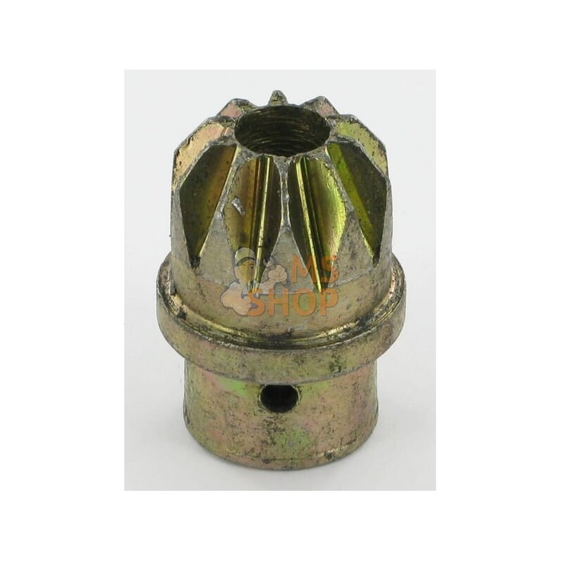 Pignon | GOPART Pignon | GOPARTPR#874107