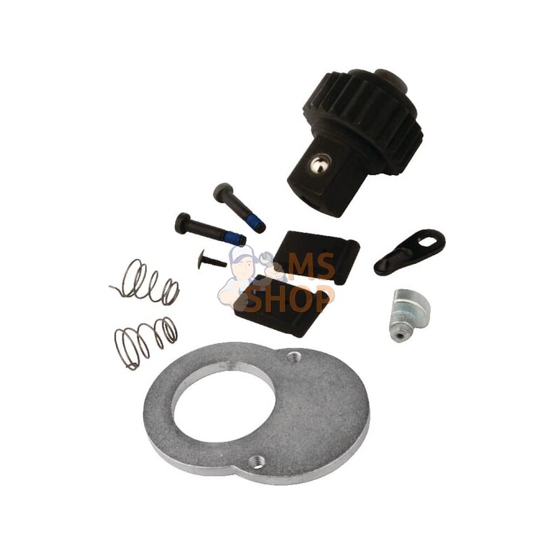 Kit de réparation rochet 1807-100110 | KRAMP Kit de réparation rochet 1807-100110 | KRAMPPR#565290 Kit de réparation rochet 1807-100110 | KRAMP Kit de réparation rochet 1807-100110 | KRAMPPR#565290