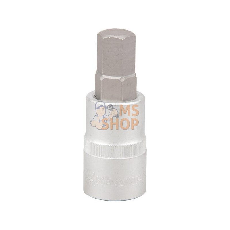 Douille de tournevis 1/2" Hex 1/2" | KRAMP Douille de tournevis 1/2" Hex 1/2" | KRAMPPR#565940 Douille de tournevis 1/2" Hex 1/2" | KRAMP Douille de tournevis 1/2" Hex 1/2" | KRAMPPR#565940
