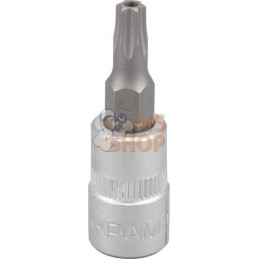 Douille de tournevis 1/4" Torx TX 25 | KRAMP Douille de tournevis 1/4" Torx TX 25 | KRAMPPR#566128