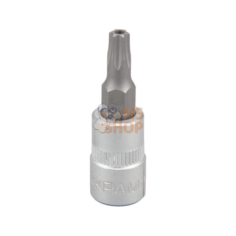 Douille de tournevis 1/4" Torx TX 25 | KRAMP Douille de tournevis 1/4" Torx TX 25 | KRAMPPR#566128 Douille de tournevis 1/4" Torx TX 25 | KRAMP Douille de tournevis 1/4" Torx TX 25 | KRAMPPR#566128