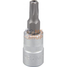 Douille de tournevis 1/4" Torx TX 27 | KRAMP Douille de tournevis 1/4" Torx TX 27 | KRAMPPR#566129
