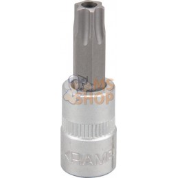 Douille de tournevis 1/4" Torx TX 40 | KRAMP Douille de tournevis 1/4" Torx TX 40 | KRAMPPR#566117