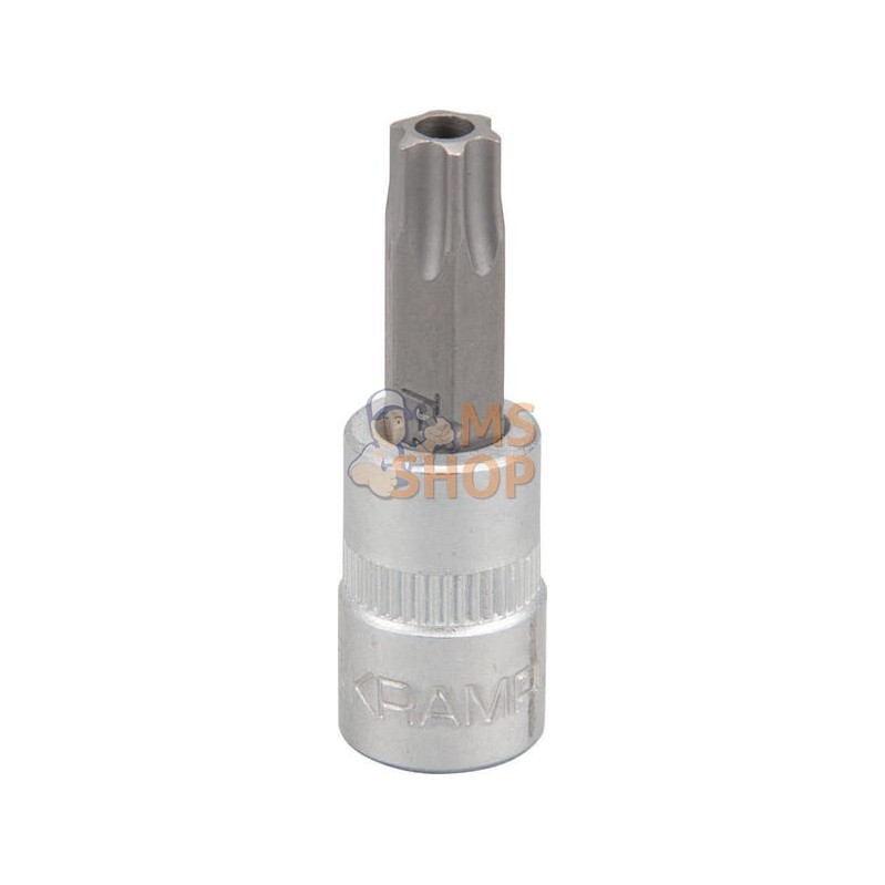 Douille de tournevis 1/4" Torx TX 40 | KRAMP Douille de tournevis 1/4" Torx TX 40 | KRAMPPR#566117 Douille de tournevis 1/4" Torx TX 40 | KRAMP Douille de tournevis 1/4" Torx TX 40 | KRAMPPR#566117