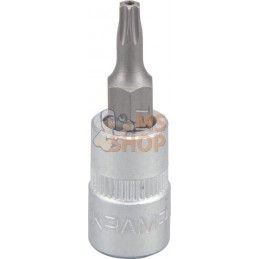 Douille de tournevis 1/4" Torx TX 15 | KRAMP Douille de tournevis 1/4" Torx TX 15 | KRAMPPR#566123