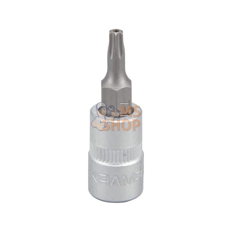 Douille de tournevis 1/4" Torx TX 15 | KRAMP Douille de tournevis 1/4" Torx TX 15 | KRAMPPR#566123 Douille de tournevis 1/4" Torx TX 15 | KRAMP Douille de tournevis 1/4" Torx TX 15 | KRAMPPR#566123