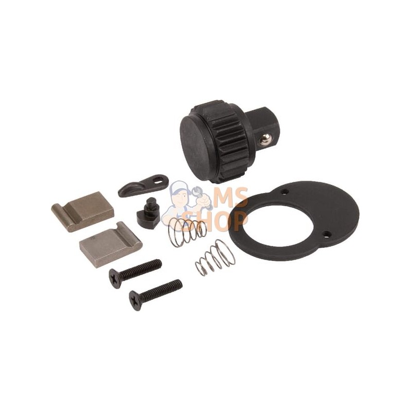 Kit de réparation rochet 1807-100030 | KRAMP Kit de réparation rochet 1807-100030 | KRAMPPR#565387 Kit de réparation rochet 1807-100030 | KRAMP Kit de réparation rochet 1807-100030 | KRAMPPR#565387