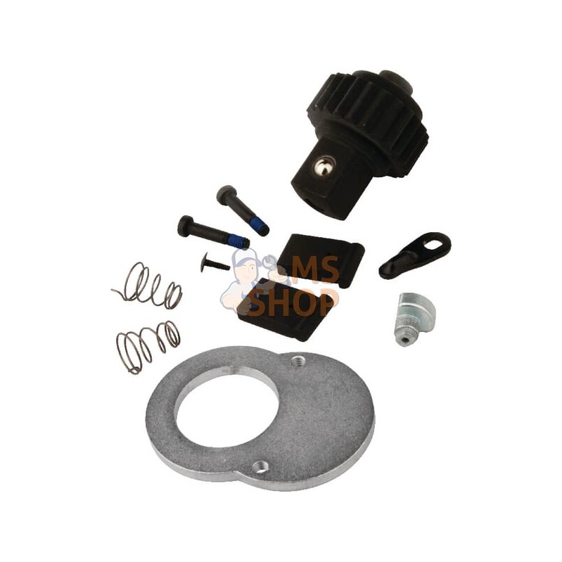 Kit de réparation rochet 1807-100210 | KRAMP Kit de réparation rochet 1807-100210 | KRAMPPR#565165 Kit de réparation rochet 1807-100210 | KRAMP Kit de réparation rochet 1807-100210 | KRAMPPR#565165